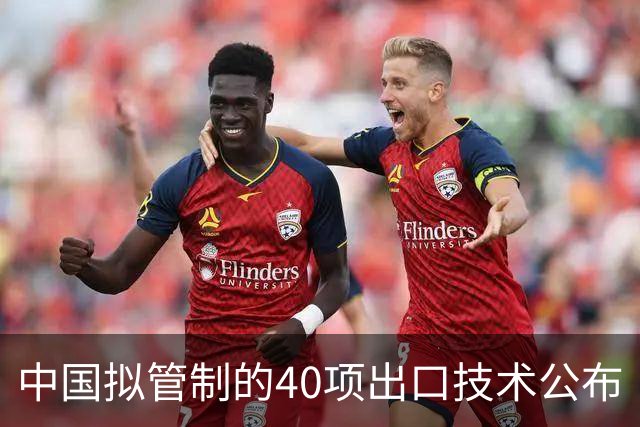 中国拟管制的40项出口技术公布｜管制清单，其实是一份家底清单