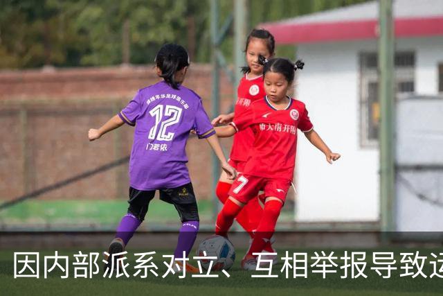 因内部派系对立、互相举报导致运转失灵，内蒙古诗词学会被限期停止活动