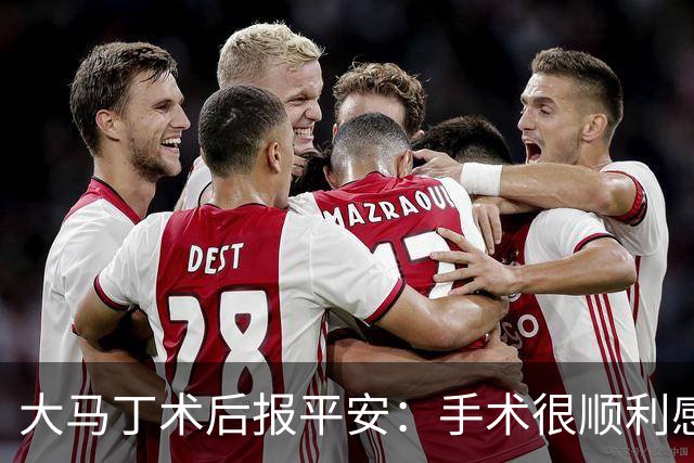 大马丁术后报平安：手术很顺利感谢大家，几周后我就会回来