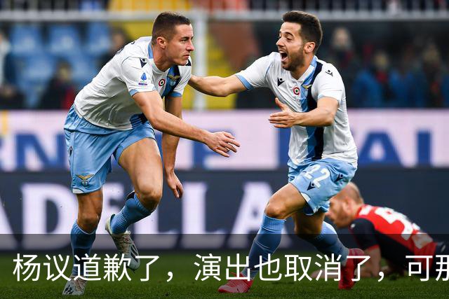 杨议道歉了，演出也取消了，可那句“误会”什么都没解决。