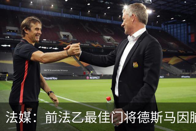法媒：前法乙最佳门将德斯马因脑震荡后遗症宣布退役