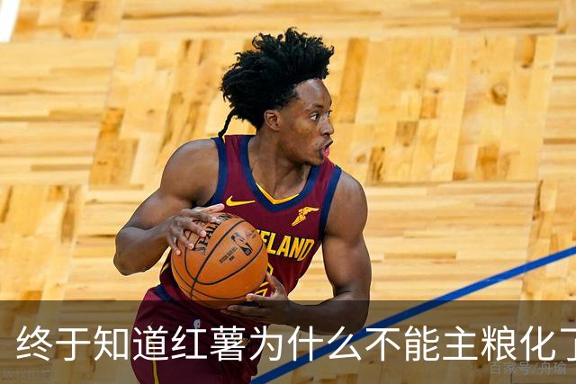 终于知道红薯为什么不能主粮化了，网友道出真相引万人共鸣！