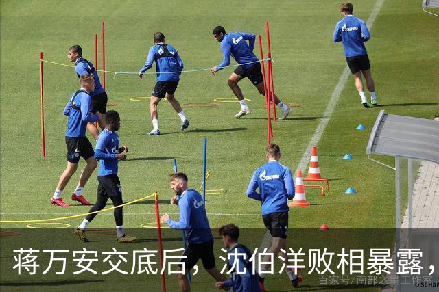 蒋万安交底后，沈伯洋败相暴露，还连累赖清德，最新民调不简单？