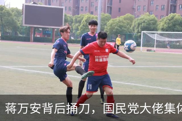 蒋万安背后捅刀，国民党大佬集体恐慌！只因郑丽文要掀他们桌子