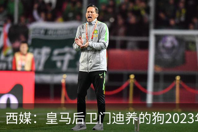 西媒：皇马后卫门迪养的狗2023年伤人一案，将于12月份开庭审理