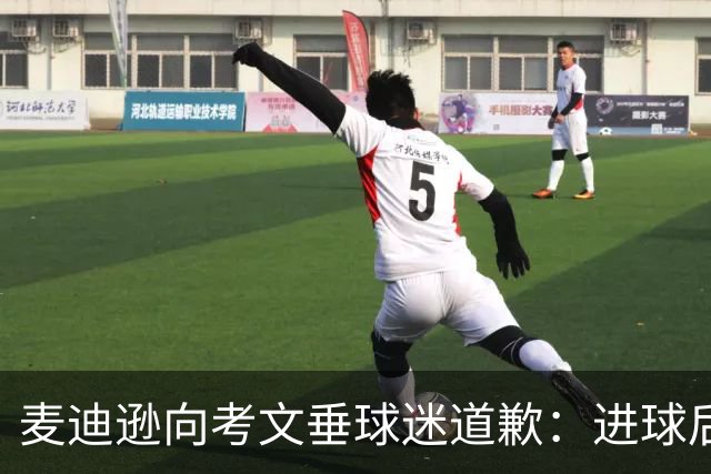 麦迪逊向考文垂球迷道歉：进球后亲吻热刺队徽时机不对