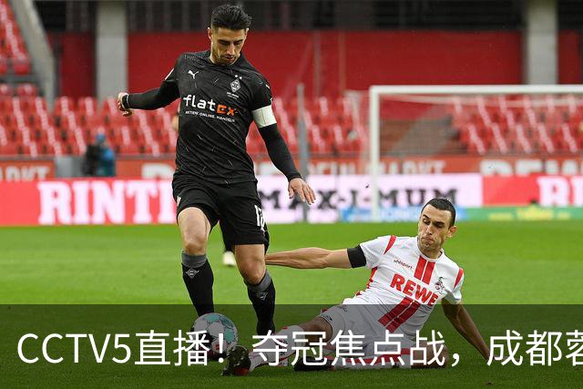 CCTV5直播！夺冠焦点战，成都蓉城VS大连英博，韦世豪继续缺阵，中超榜首或已无退路